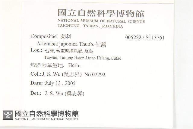 牡蒿藏品圖，第2張