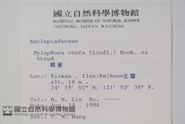 鷗蔓藏品圖，第2張