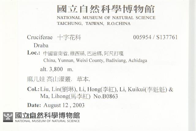 登錄號:S137761藏品圖，第2張