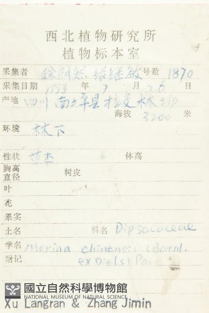 圓萼刺續斷藏品圖，第2張