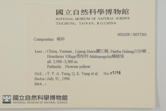 登錄號:S037261藏品圖，第2張