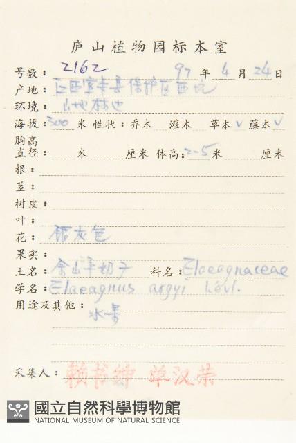 余山羊奶子藏品圖，第2張