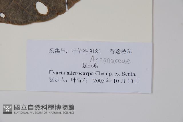 紫玉盤藏品圖，第2張