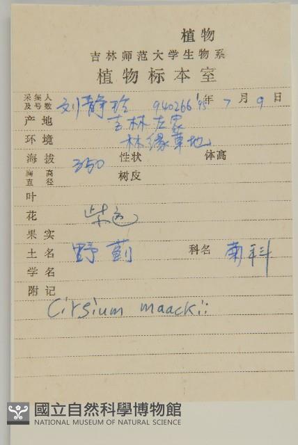 野薊藏品圖，第2張