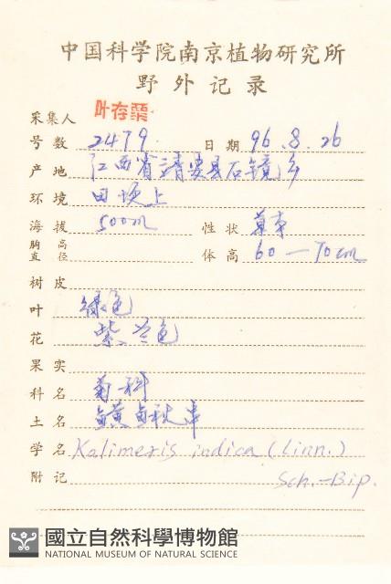 雞兒腸藏品圖，第2張