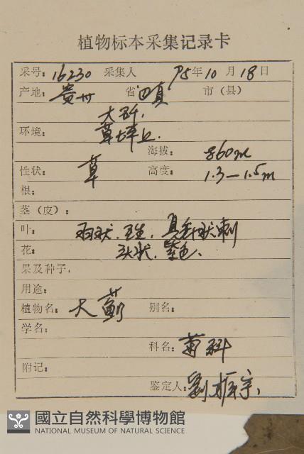 小薊藏品圖，第2張