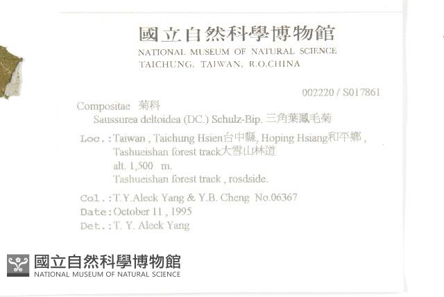 臺灣青木香藏品圖，第2張