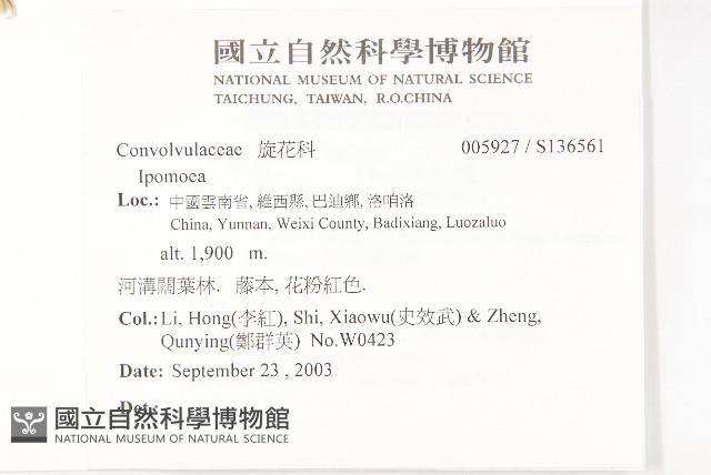 登錄號:S136561藏品圖，第2張