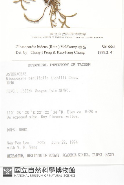 香茹藏品圖，第2張