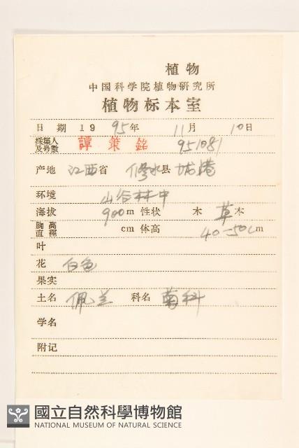 佩蘭藏品圖，第2張