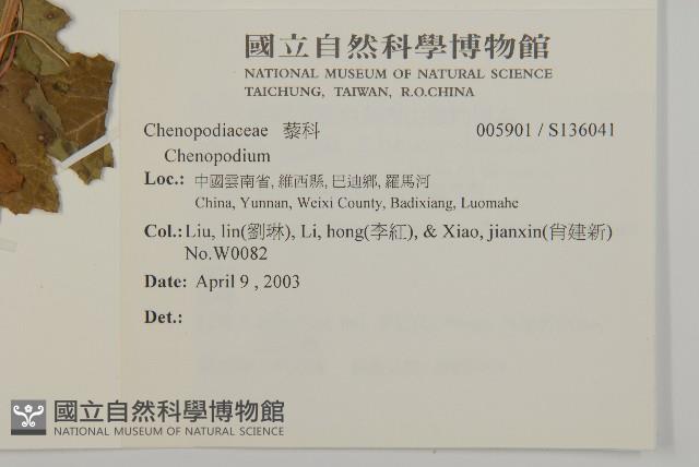 登錄號:S136041藏品圖，第2張