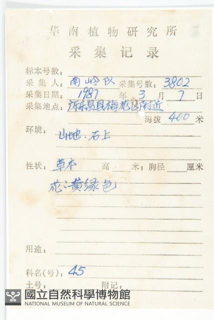 石板菜藏品圖，第2張