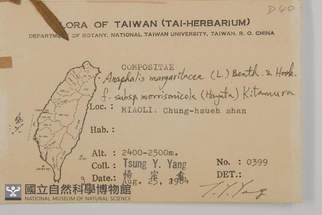 玉山抱莖籟簫藏品圖，第2張