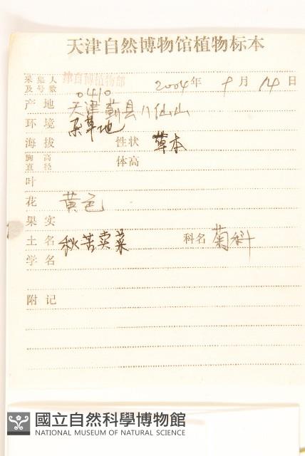 苦實菜藏品圖，第2張