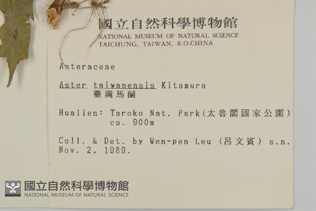 臺灣馬蘭藏品圖，第2張