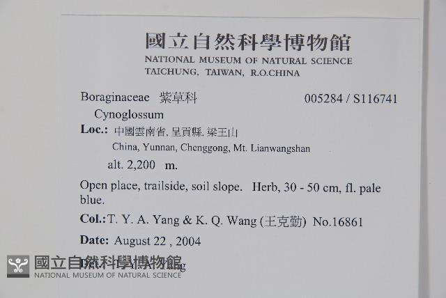 登錄號:S116741藏品圖，第2張