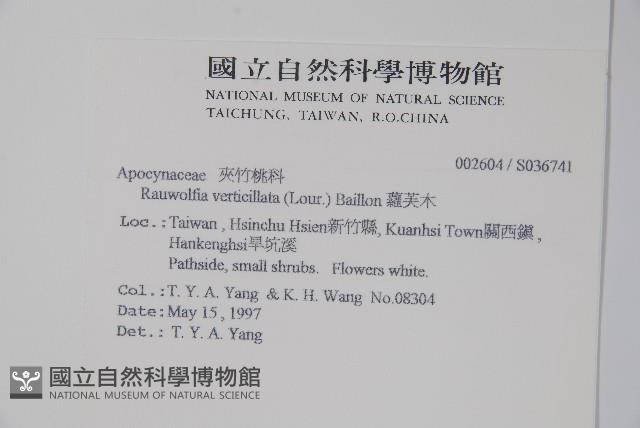 蘿芙木藏品圖，第2張