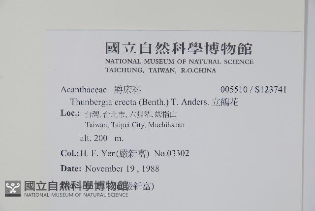 立鶴花藏品圖，第2張