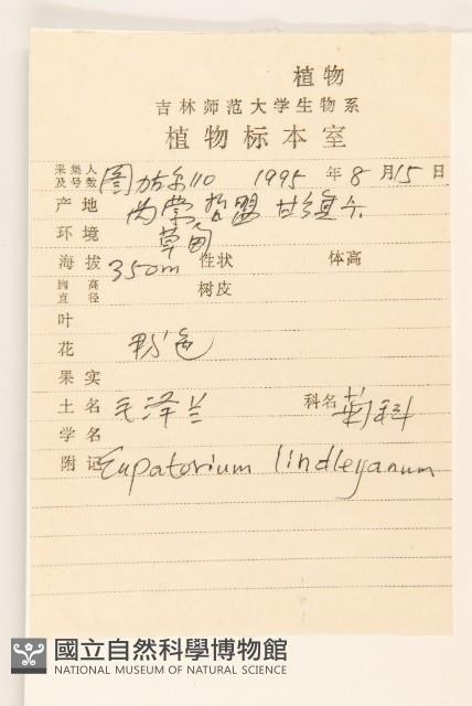 林氏澤蘭藏品圖，第2張