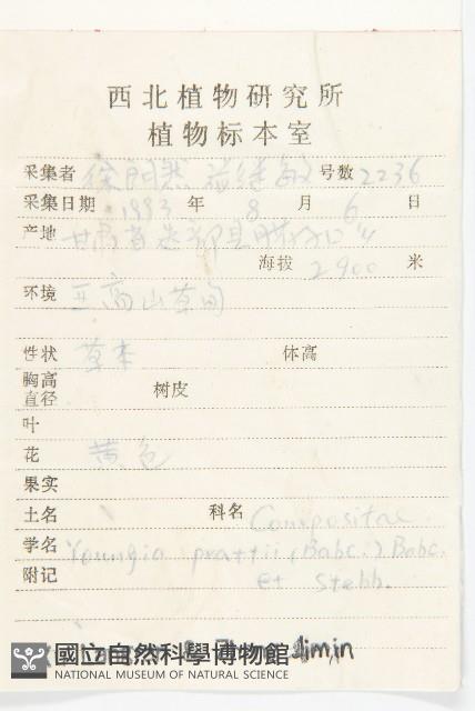 川西黃鵪菜藏品圖，第2張