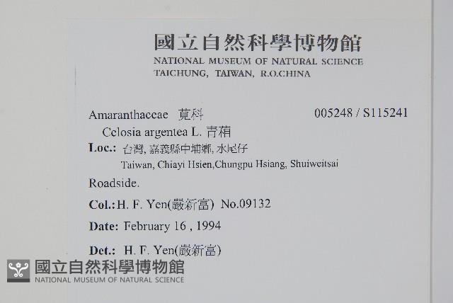 青葙藏品圖，第2張