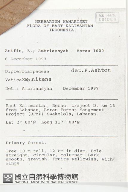 登錄號:S055241藏品圖，第2張