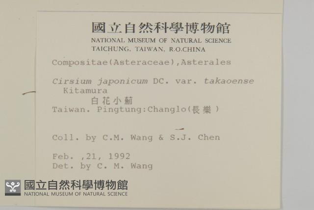 雞觴刺、島薊藏品圖，第2張