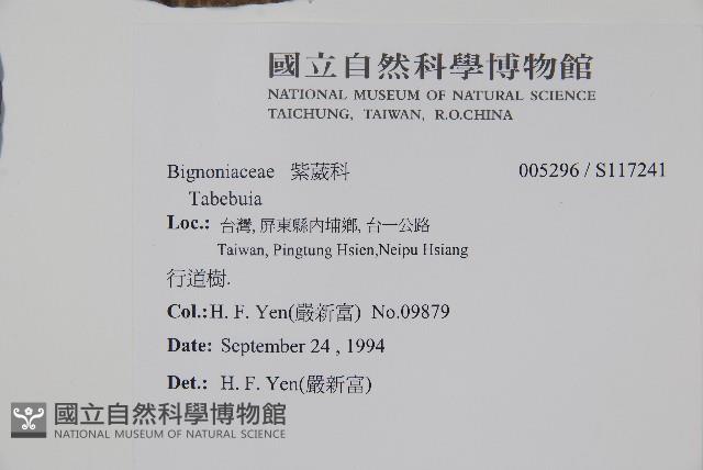 登錄號:S117241藏品圖，第2張