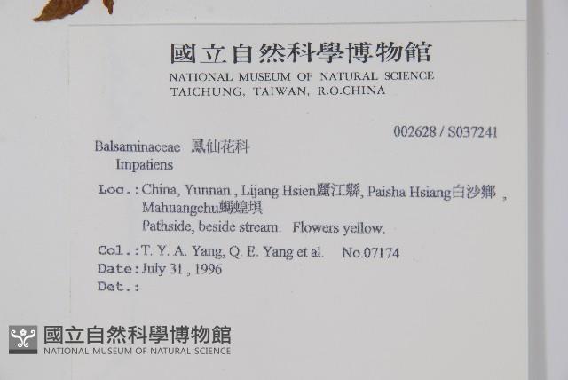 登錄號:S037241藏品圖，第2張