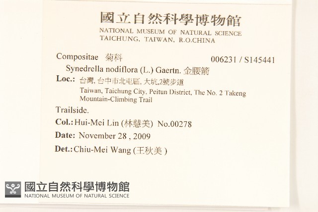 金腰箭藏品圖，第2張