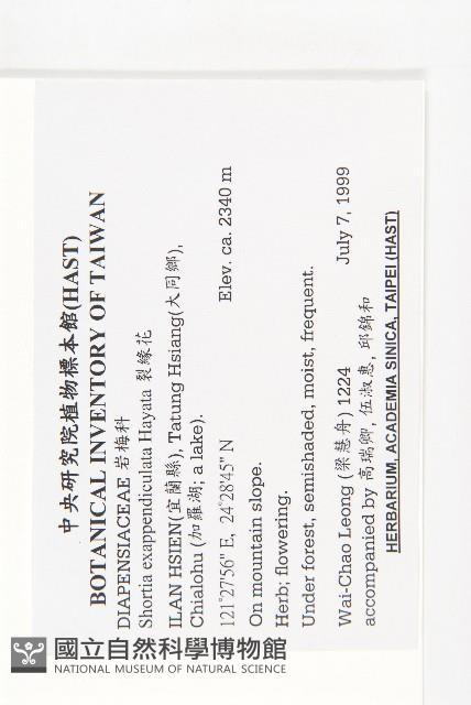 裂緣花藏品圖，第2張