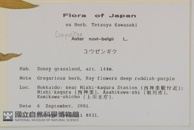 友禪花藏品圖，第2張