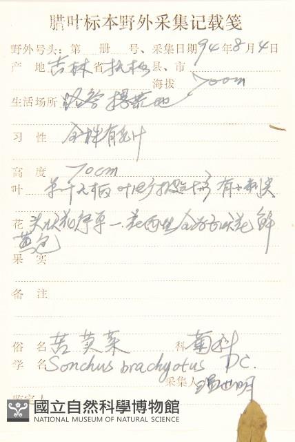 苦實菜藏品圖，第2張