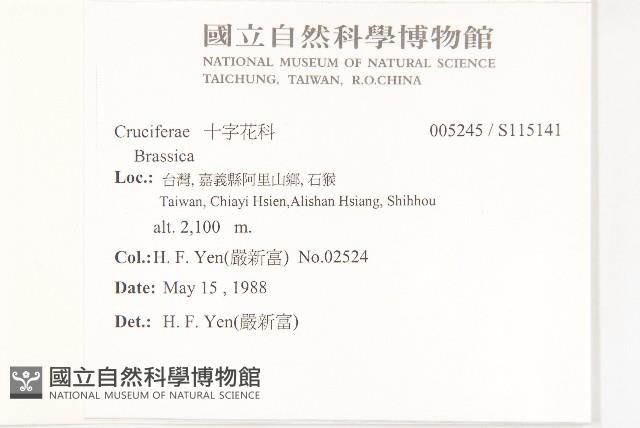 登錄號:S115141藏品圖，第2張