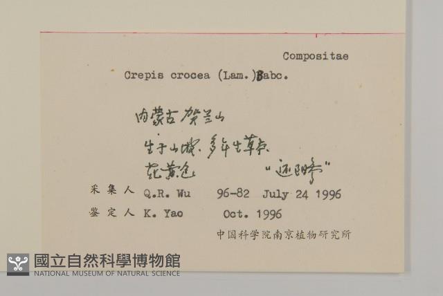 還陽參藏品圖，第2張