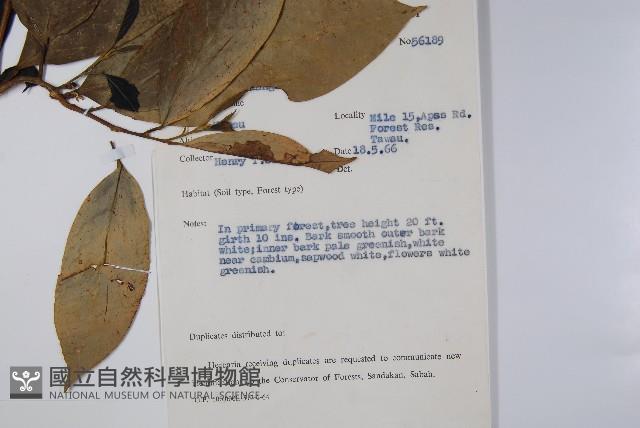 Accession Number:S047141 Collection Image, Figure 2, Total 2 Figures