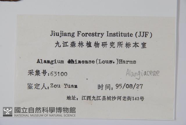 八角楓藏品圖，第2張