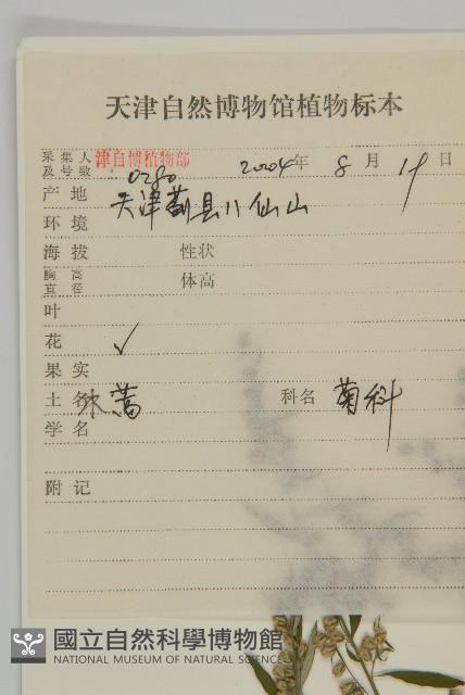 水蒿藏品圖，第2張