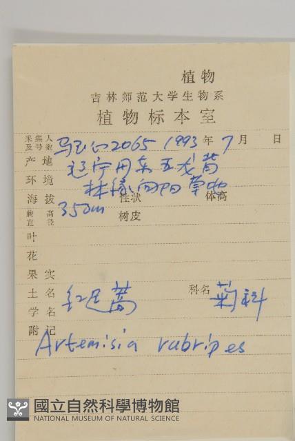 紅足蒿藏品圖，第2張