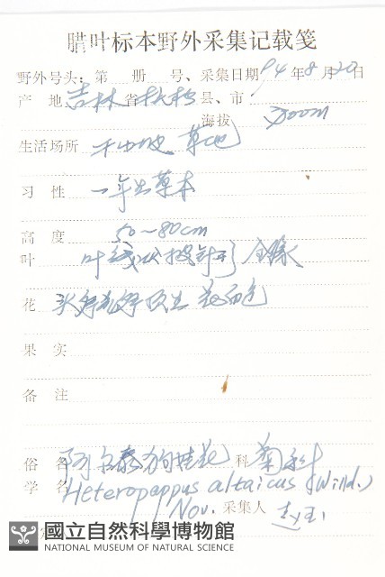 阿爾泰狗哇花藏品圖，第2張