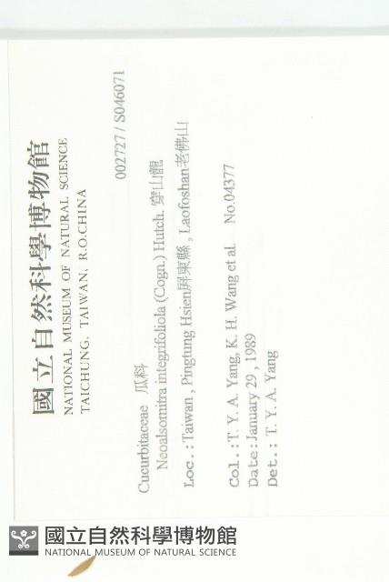 穿山龍藏品圖，第2張