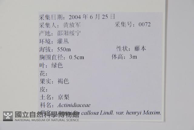 京梨獼猴桃藏品圖，第2張