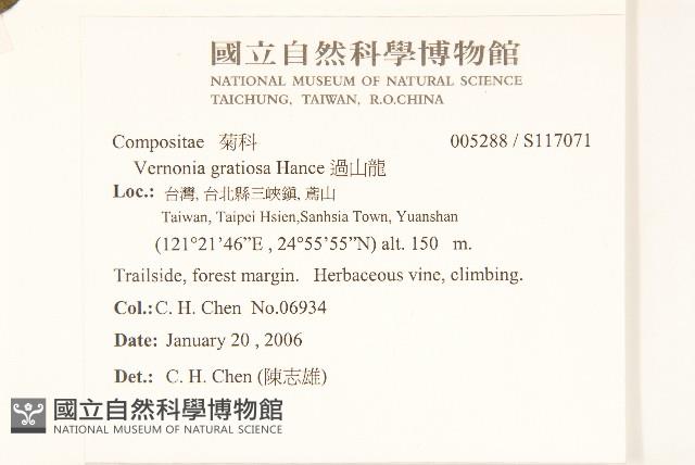 過山龍藏品圖，第2張