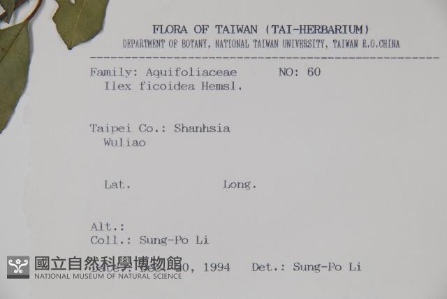 臺灣糊樗藏品圖，第2張