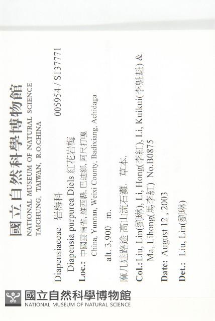 紅花岩梅藏品圖，第2張