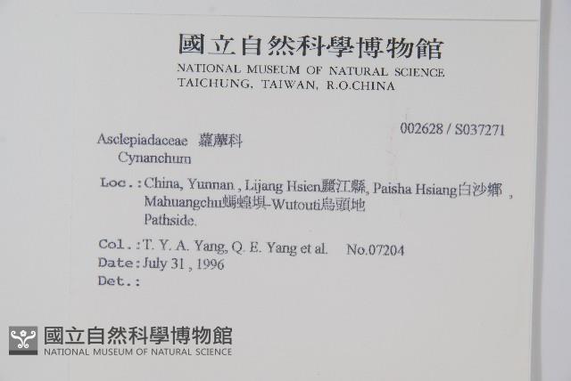 登錄號:S037271藏品圖，第2張