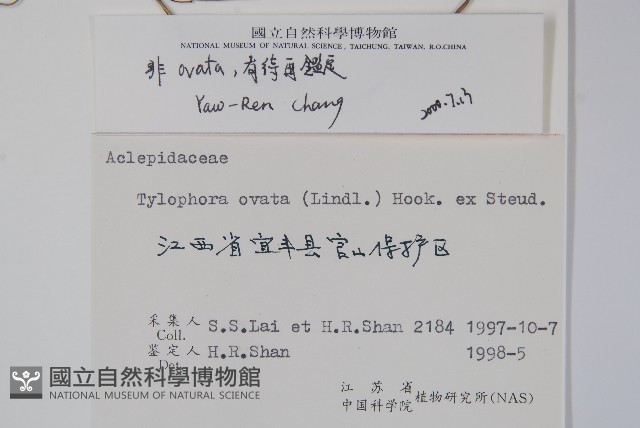 鷗蔓藏品圖，第2張