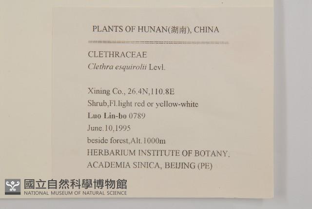 南嶺山柳藏品圖，第2張