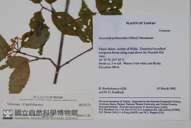 登錄號:S035171藏品圖，第2張