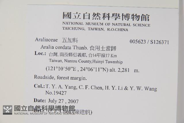 食用土當歸藏品圖，第2張